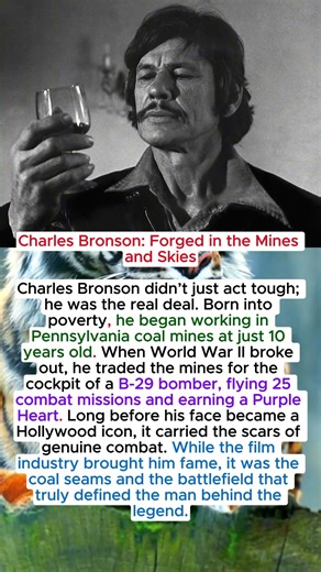 Charles Bronson Forged in the Mines and Skies