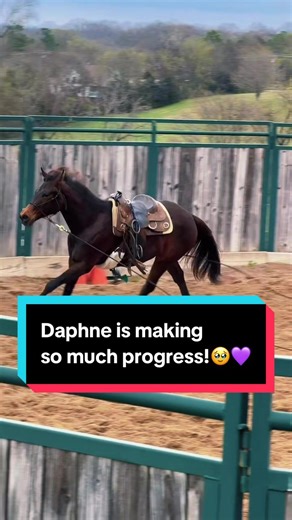 Daphne's Impressive Progress on TikTok!