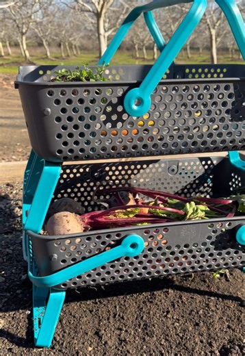 QVC Stackable Garden Harvest Baskets ✨