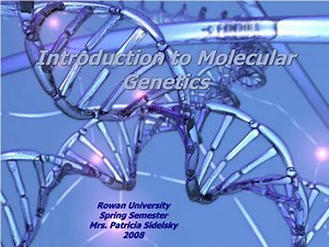 PPT - Introduction to Molecular Genetics PowerPoint Presentation, free download - ID:511908