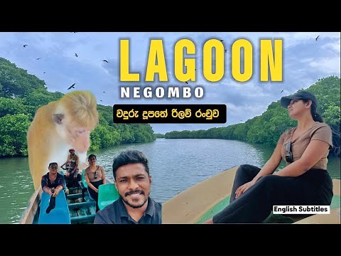 Exploring the Stunning Negombo Lagoon SriLanka | Lagoon Adventures Boat Tours, wildlife, Scenic View