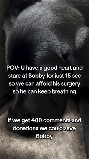 please help to donate any you can for Cancer surgery 🐕🙏🐕🙏