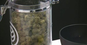 Cannabis cafes coming to Massachusetts soon as regulators finalize guidelines