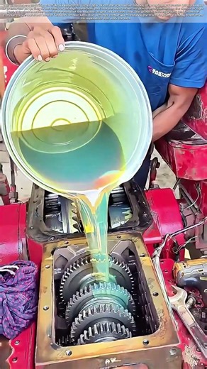 Feeding the Gearbox: Why the Right Oil Matters