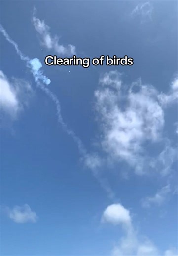 Preventing Bird Strikes During Landings at Airports