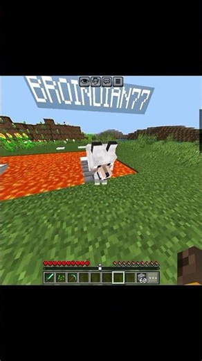 dog and diamond cute story 🥹#minecraft #shortsfeed #gaming