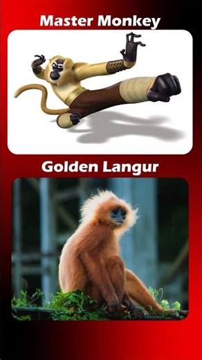 The REAL Animals Behind Kung Fu Panda! 🐼😱