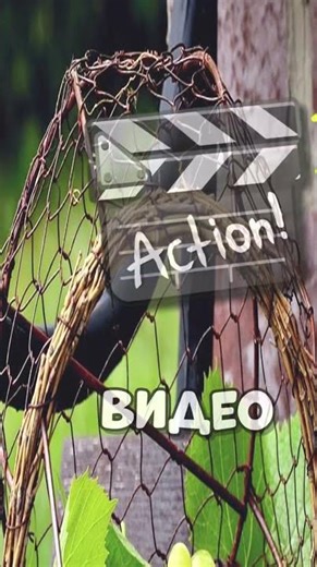 #minecraft #commandblock #magic