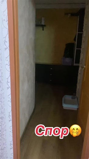 Dispute #lora | la dispute