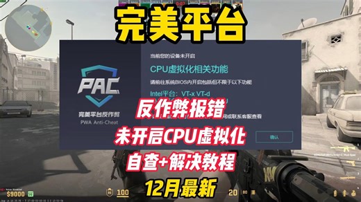 【已解决】完美平台未开启CPU虚拟化进不去/自查+开启CPU虚拟化教程/解决完美平台进不去报错/BIOS设置/开启VTX VT-D/手把手教程