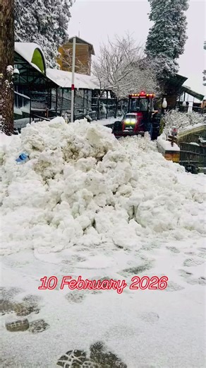 Exploring Nathiagali: A Journey Through Alpine Wonders