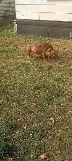 Dujuan Riggen on Reels