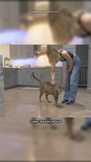 Fenrir, the Tallest Living Cat in the World 🐱👑