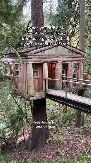 Luxury Treehouse Getaways: Unwind in Nature's Embrace