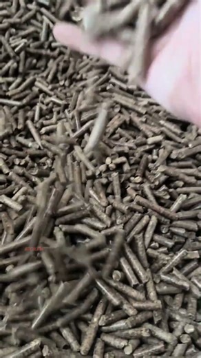 Wood fuel pellets maker price on sale #fcnfm #pelletmachine