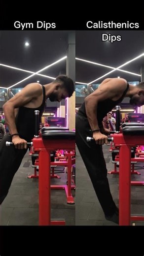 Gym Dips Vs Calisthenics Dips