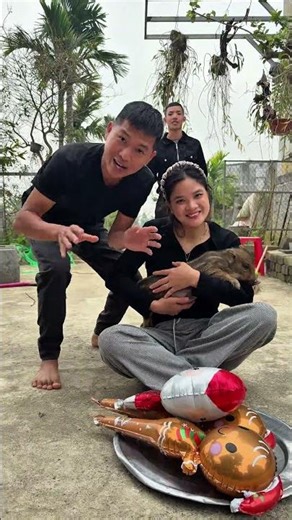 The Whole Neighborhood Brings Gifts to an Adorable Little Pig 🐷🎁#cutePig#adorablePig