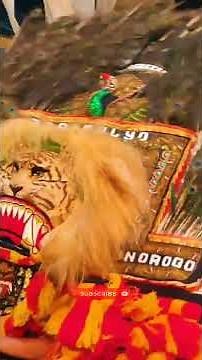 Solah Singo Barong Luwes dan Gagah Reyog Ponorogo Java Entertainment