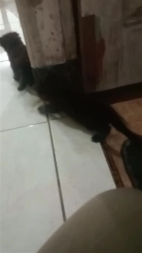 EXCEL (@excel_asmara)’s videos with original sound - EXCEL