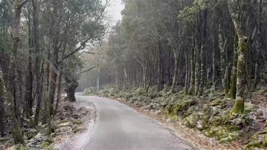 Nei pressi di rifugio Crispi, Castelbuono | Agrimeteo Corleone