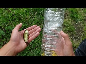 Faire un piège à poisson simple et efficace