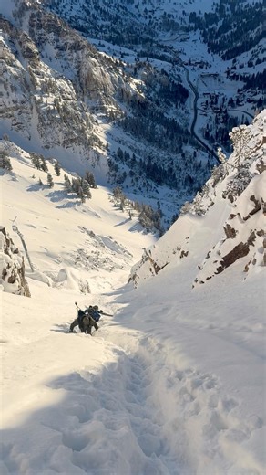 Wasatch Splitfest 2026 #splitboarding