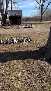 Drake Waterfowl Systems on Reels