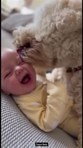 Dog Finds Baby's Tickle Spot... And It's HILARIOUS!