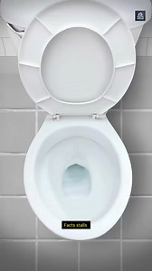 This Is How Mouse Get Into Your Toilet 🐭 | Facts Stalls