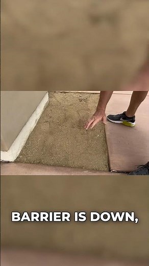 Weed-free yard transformation! See the amazing results