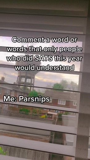 ngl SATS were easy #sats #SATS #year6 #school #study #maths #grammar #spelling #funny #comment #understand #fyp #foryou #viral