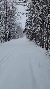 34K views · 1.4K reactions | Looks like we are in for more snow until Sunday. Only 14 more days till the trails could open and it's looking pretty good. ☠️ Stretch | Western UP Trail Reports | Facebook