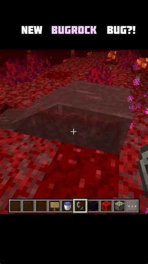 Don't try this🤫. #transition #minecraft