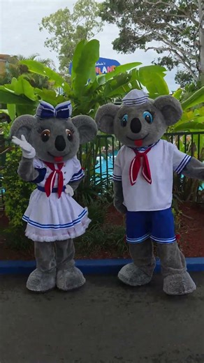 4K, Kenny and Belinda Koala, Dreamworld, Gold Coast #shorts #dreamworldau #themeparkattraction
