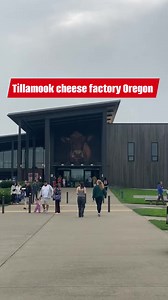 2.2K views · 20 reactions | Tillamook cheese factory Oregon  #highlights #usareels #reelsfypシ #tillamookcheese #cheese | Taurus SeventySeven | Facebook