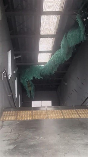 龍王峡駅に龍がいました 紅葉シーズン オススメでございます。 #野岩鉄道#電車#鬼怒川