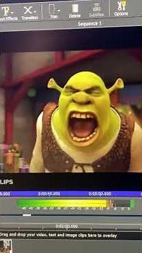 Shrek Roar (Very Slow)