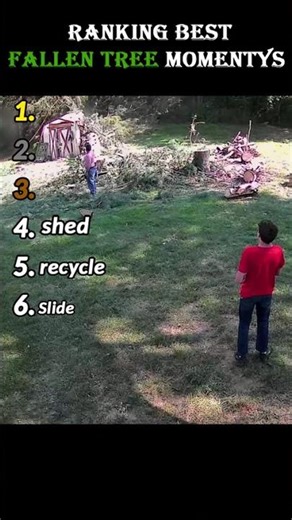 RAnking best Fallen tree momentys #fallen #moments