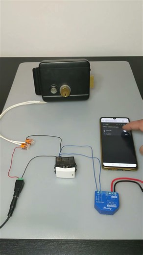 DIY Smart Door Lock with Shelly