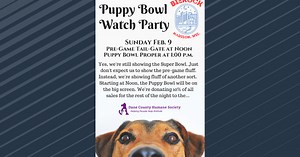 Bierock to continue Puppy Bowl watch party tradition, with sales benefiting Dane Co. Humane Society