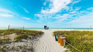 Red tide current conditions: How will Tampa Bay-area beaches be for Thanksgiving?