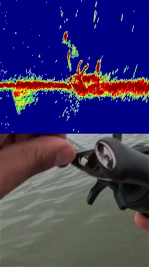 Active Target 2 vs Судаки #рыбалка #рыбалканаозере #fishing