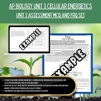 AP Biology UNIT 3 Cellular Energetics Complete Mini Test Assessment MCQ & FRQ