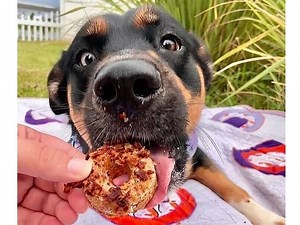 Here Are A Few Of Our Favorite Things: Local Gifts To Give