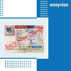 16 reactions | Call 7087773180, 9592444460, 9875917005  28 ਵੀਜ਼ਾ...