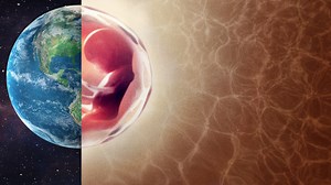 Human: The World Within | Netflix