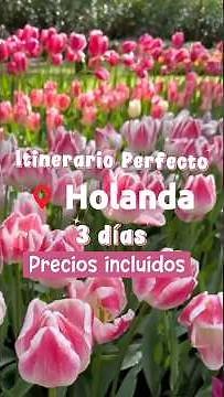 HOLLAND ITINERARY 3 DAYS
