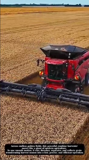 Giant Combine Harvester in Action | The Power of Modern Agriculture