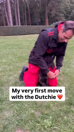 27K views · 9K reactions | The first thing most trainers teach? Sit....