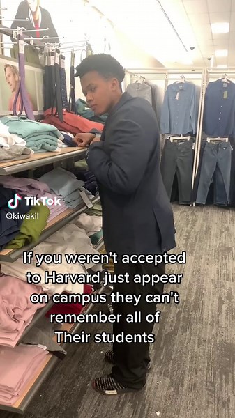 Havard please now hire me#havard #konekila #fyp